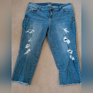 Maurices Classic Blue Distressed Straight Leg Jeans